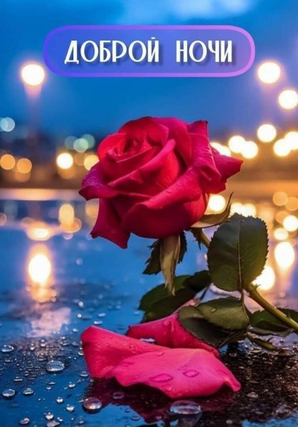 Доброй Ночи!