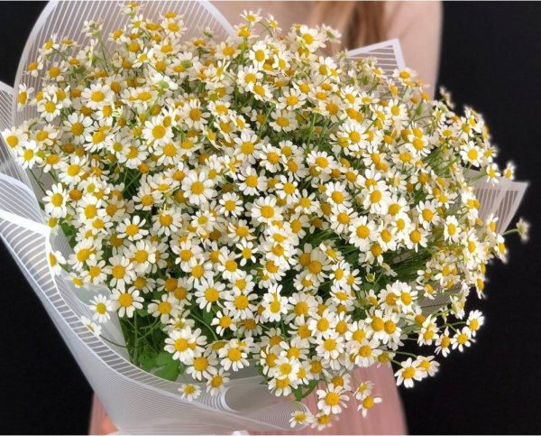 Букет ромашек..