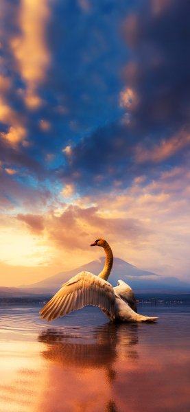 file_90316693