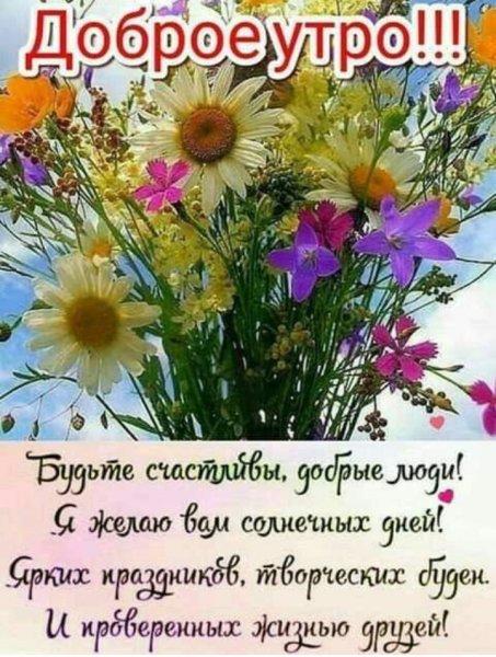 IMG 20190730 053158