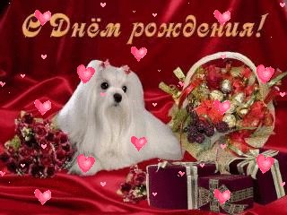 Открытка