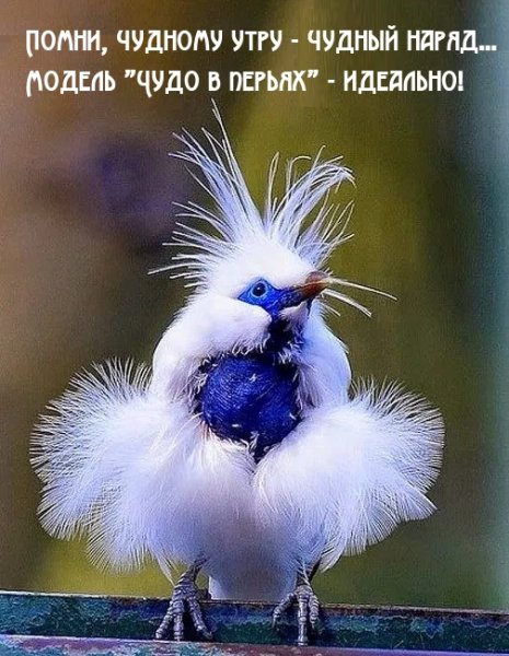 photowords ru 7725