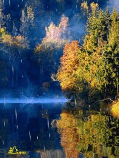 file_59319850