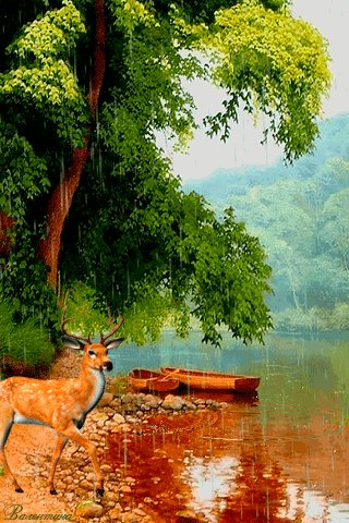 file_64980150