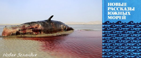 Вити Ихимаэра.КИТ (рассказ)