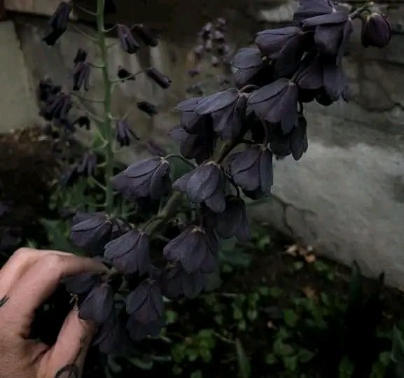 file_96918061