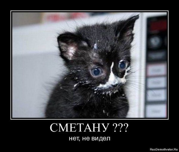 Сметану??? Нет, не видел