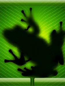 frog