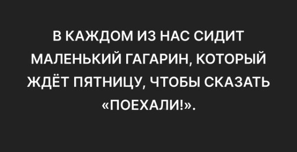 file_97969141