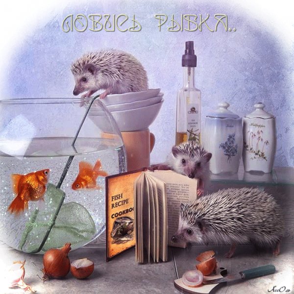 Забавные ёжики-ЛОВИСЬ РЫБКА!