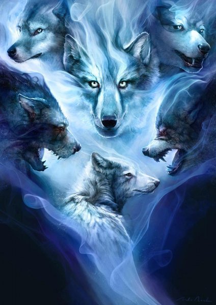 a wolfs life