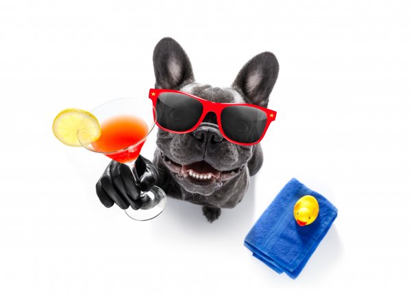 Shutterstock 723693718