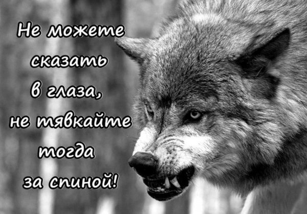 image (9)
