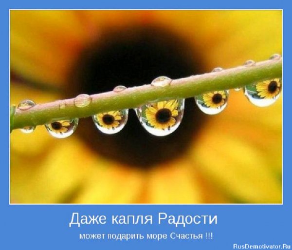 Даже капля радости может подарить море счастья!