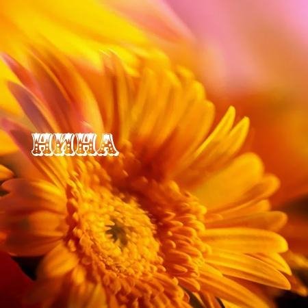 Нина