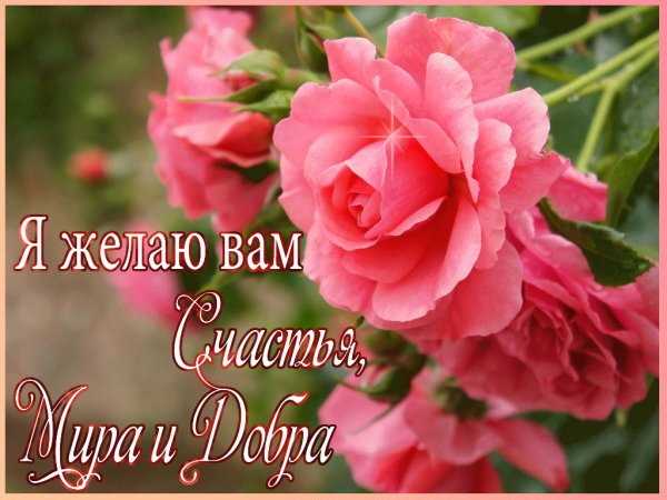 file_66718871