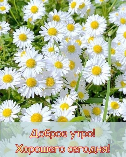 file_90685217