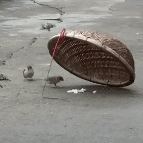Любовь это...