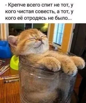FB IMG 1777488895582