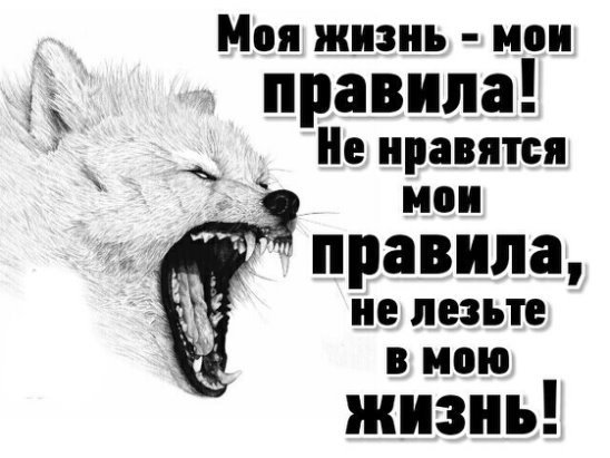 Моя жизнь