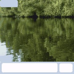 vadim shtogryn ribalka