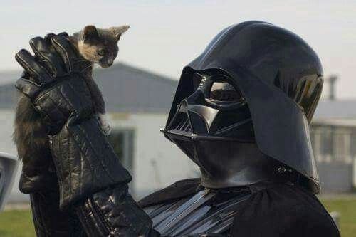 -5256235381651799155 120