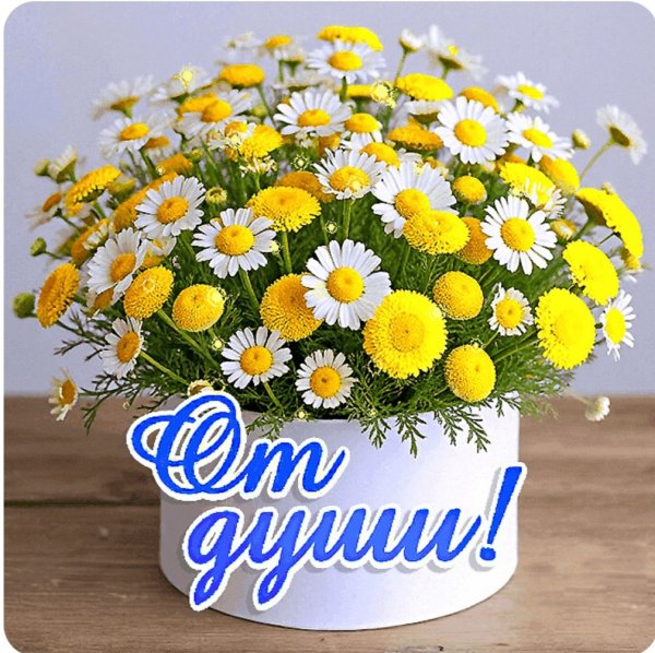 file_100682261
