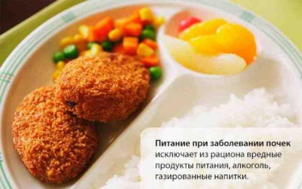 Питание при заболеваниях почек