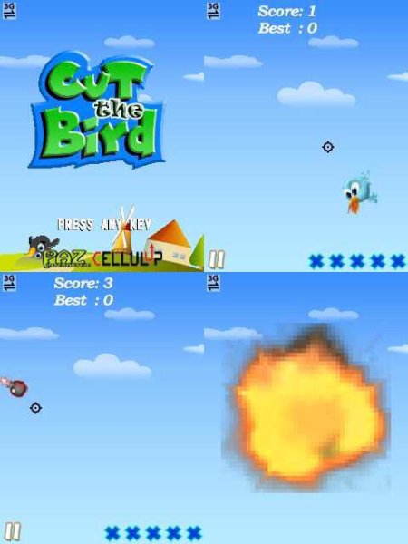 Cutthe Bird 176x208 N70