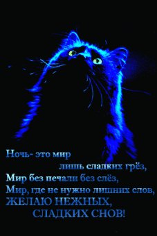 Сладких снов