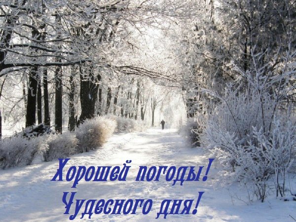 file_71494524