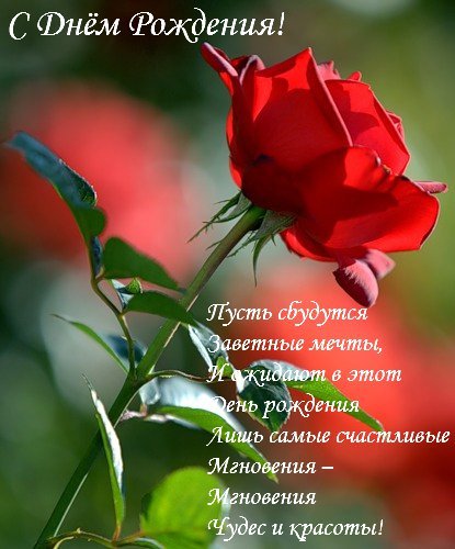 С днем рождения