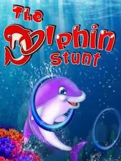 TheDolphinStunt240x400