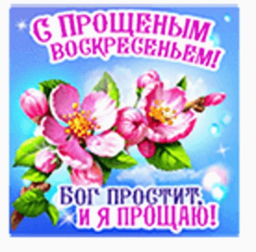 file_96148909