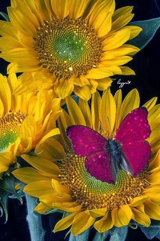file_52188474
