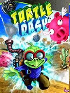 TurtleDashHack