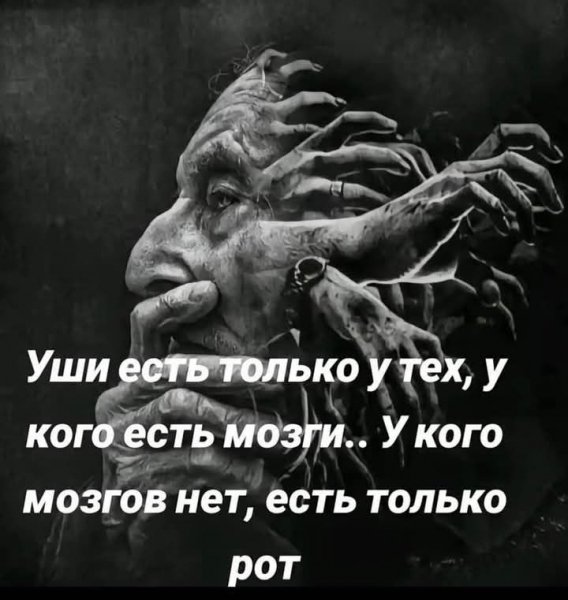 FB IMG 1744742390870