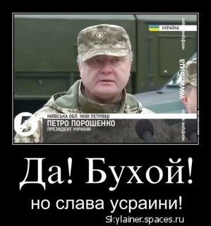 Да параша