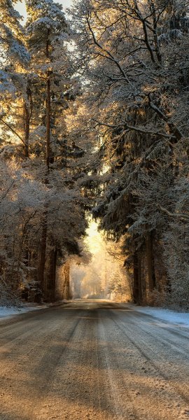 file_101552439