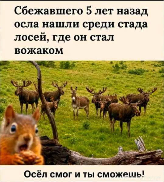file_102677183