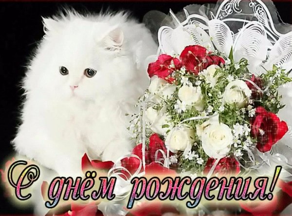 s-dnyom-rozhdeniya