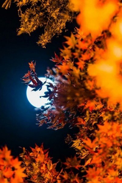 file_94765015