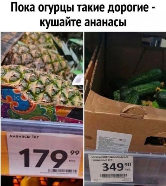 file_99489377