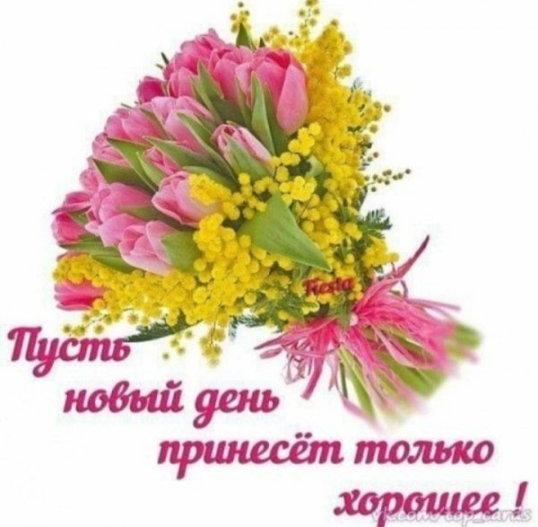 IMG 20200326 192850