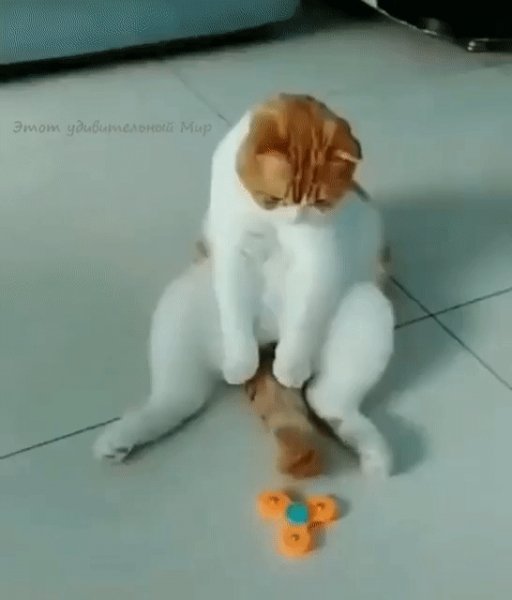 Какая прелесть)