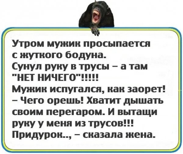 IMG 20250726 040213