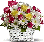 0 7c6b7 ea92caf6 S