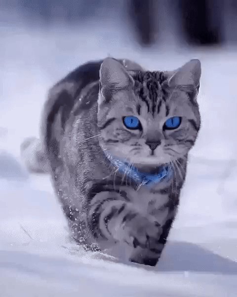 IMG 20231214 113054