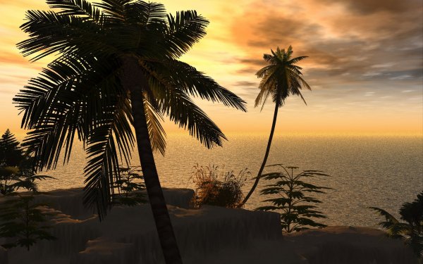 Image ) (14)