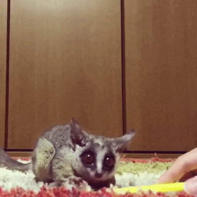 смех8907907809870970